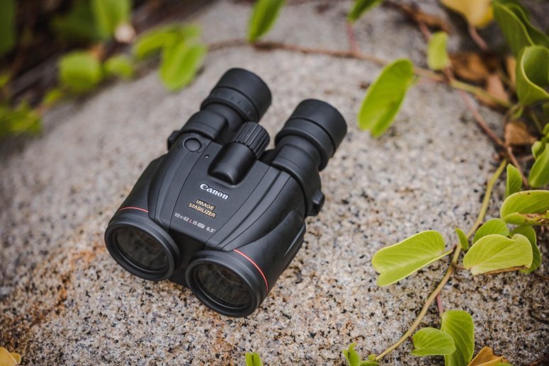 The 10x42L IS WP binoculars feature 42mm objective lenses, ideal for astronomical observation.