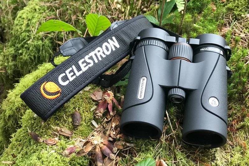 Celestron's TrailSeeker 8x42 binoculars offer a great balance between price, portability, and optical performance.