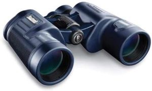 Bushnell H20 10x42