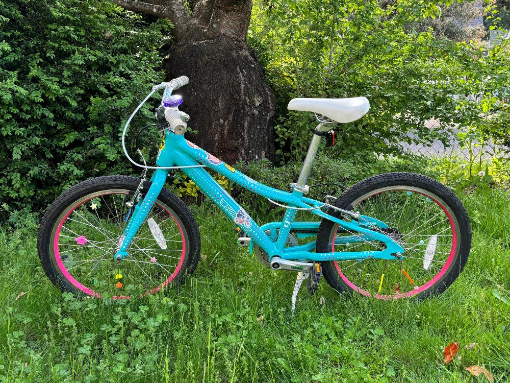 Best Kids Bike Reviews: The Best Brake System