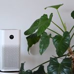 Best Air Purifiers for Allergies in 2024