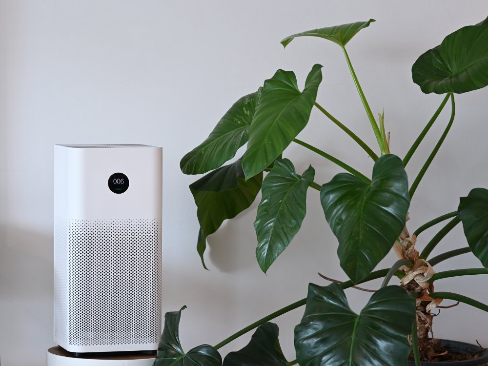 Best Air Purifiers for Allergies in 2024